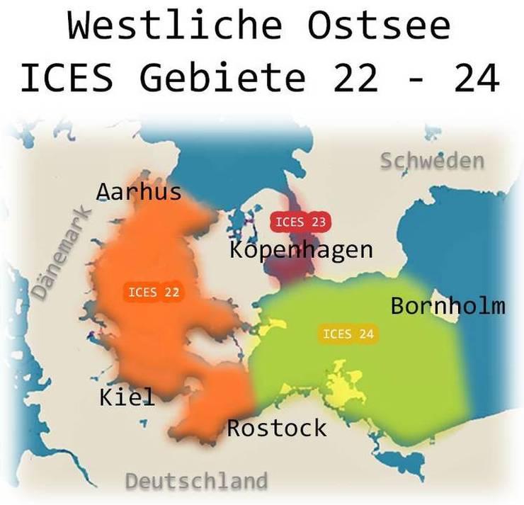 Ostsee Dorsch 2026 Baglimit Und Fangquoten Beschlossen 