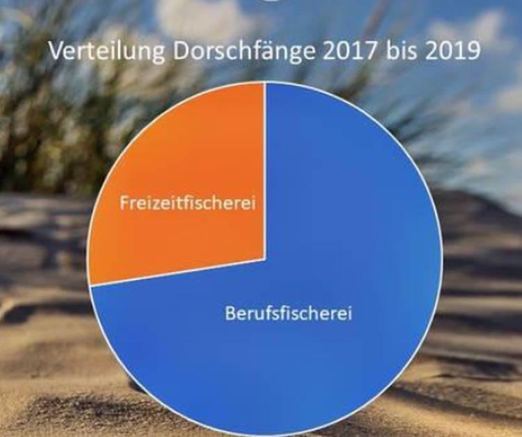 Ostsee Dorsch 2026 Baglimit Und Fangquoten Beschlossen 