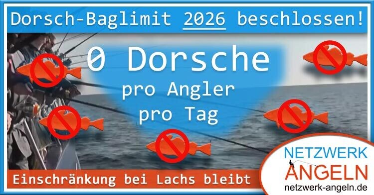 Ostsee Dorsch 2026 Baglimit Und Fangquoten Beschlossen 