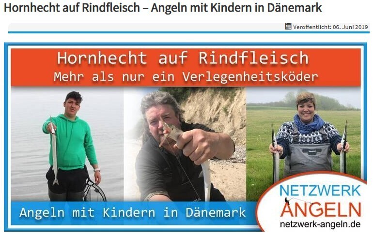 bild artikel hornhecht rindfleisch