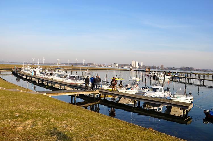 pm trollingtreffen hafen burgtiefe fehmarn schleppboote