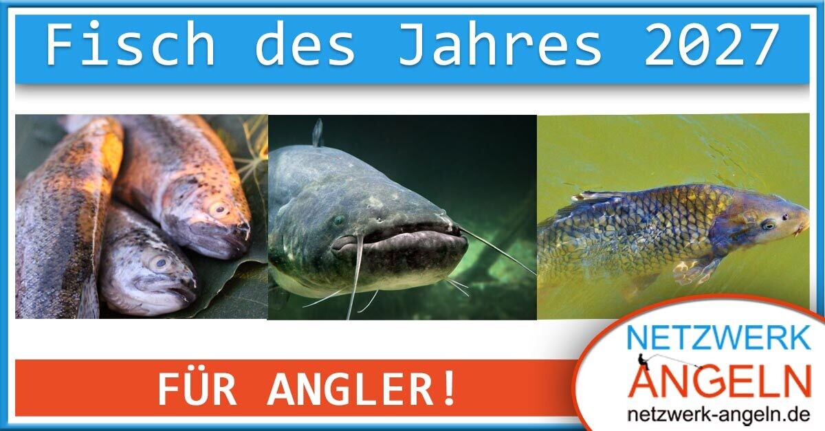 Fisch des Jahres 2027, für Angler!
